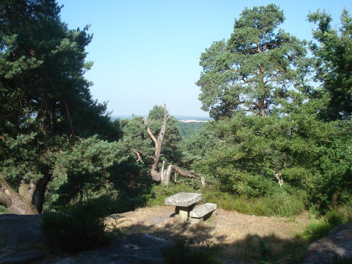 Les Premices De La Foret Chailly-en-Biere Exterior photo