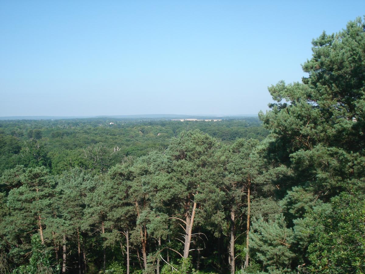 Les Premices De La Foret Chailly-en-Biere Exterior photo